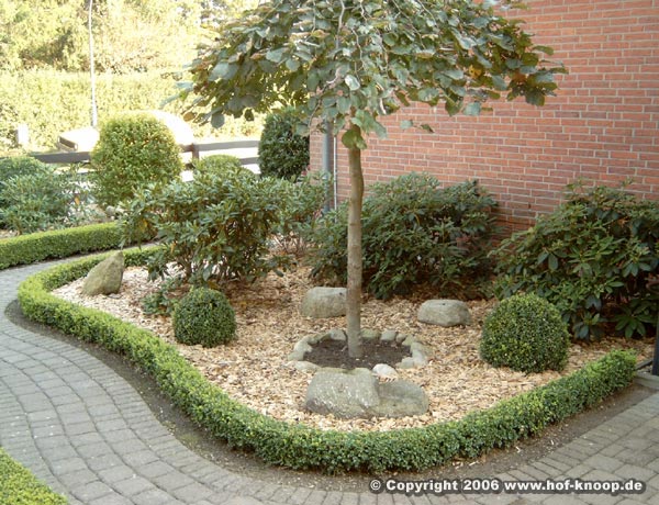 Hof Knoop - Hackschnitzel